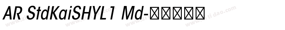 AR StdKaiSHYL1 Md字体转换